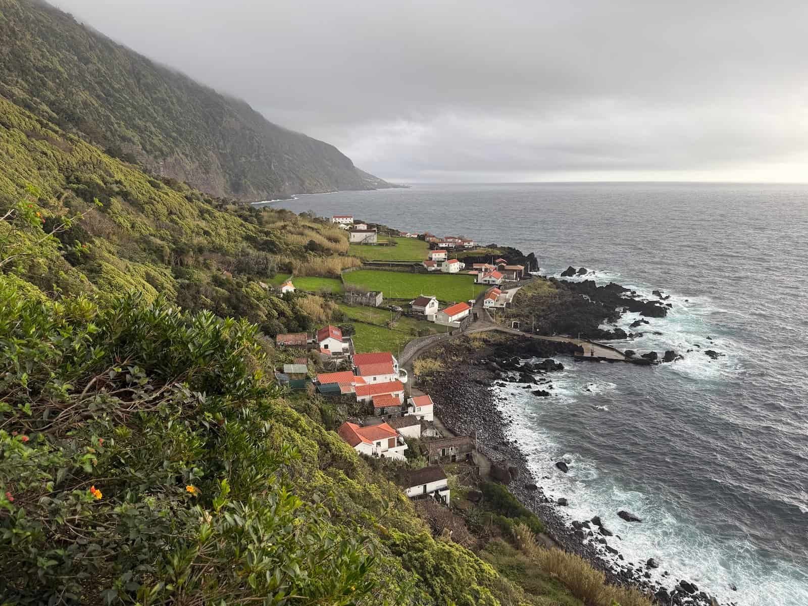 São Jorge coastal landscape at Fajã das Almas with lush greenery and small houses.