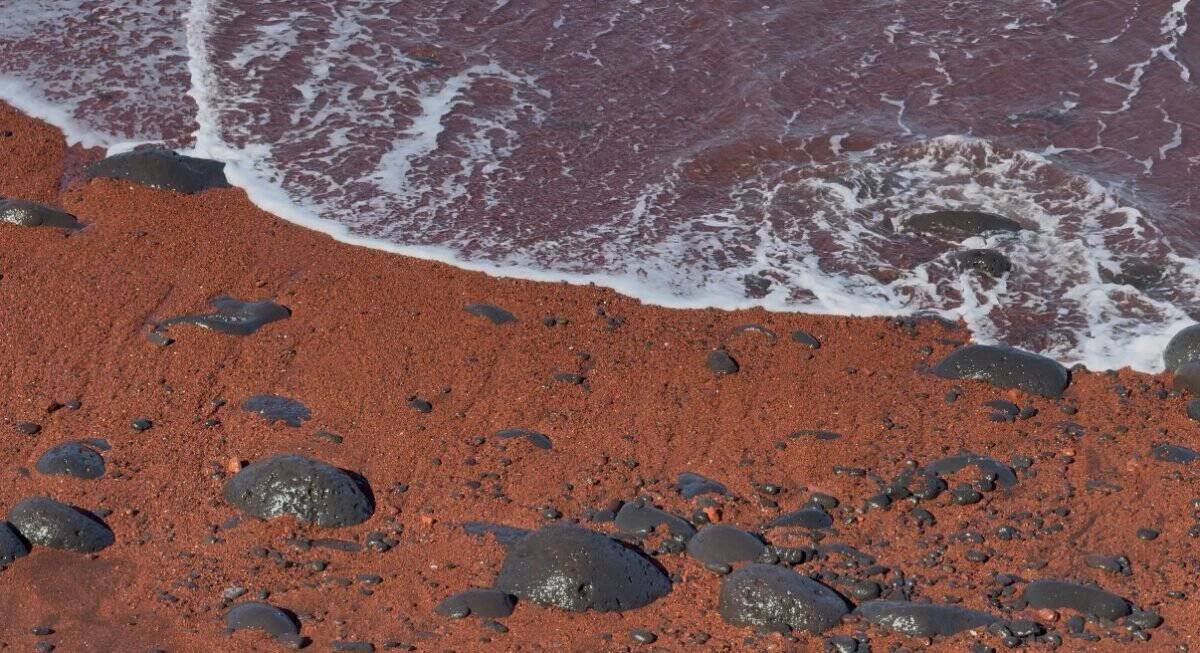 Red sand beach of Barro do Vermelho on Graciosa in the Azores, Portugal