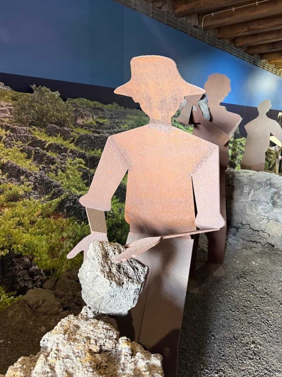 exhibit at wine museum on Pico Island showing a farm worker clearing stones from the land