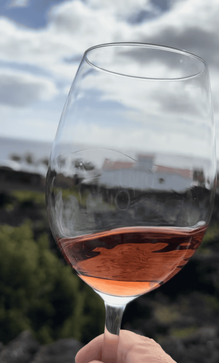 glass of rose wine at Adega Amaral on Pico Island in the Azores