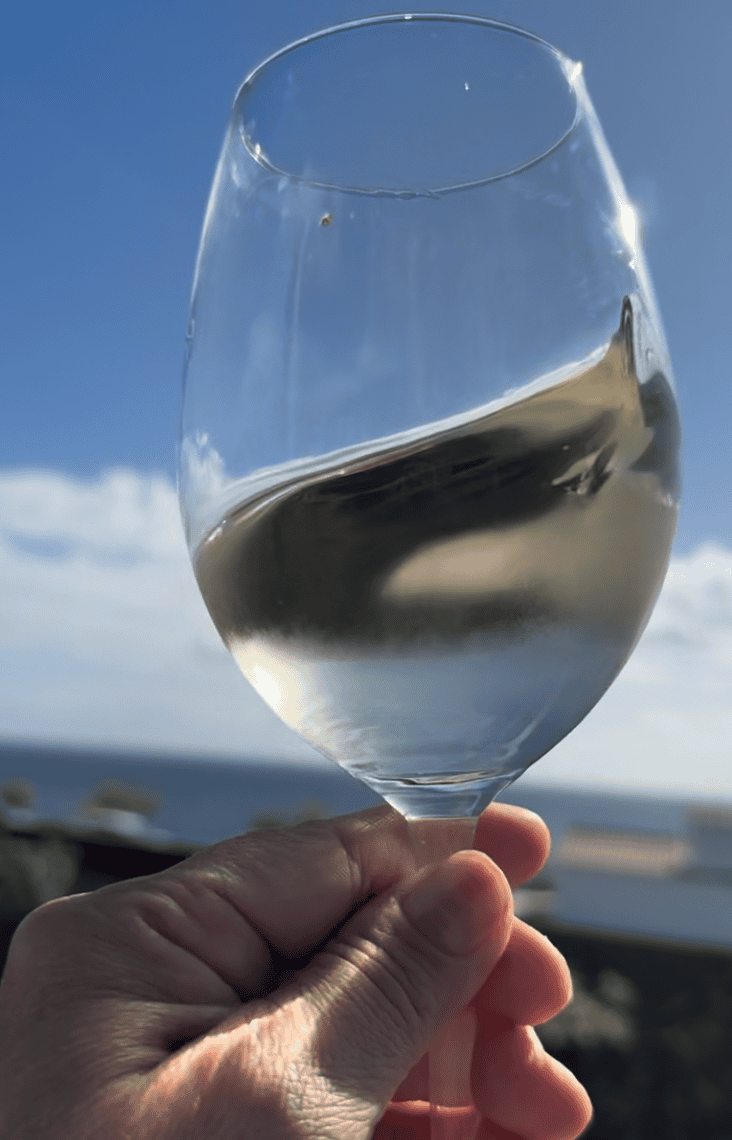 glass of white wine at Adega Amaral on Pico Island in the Azores